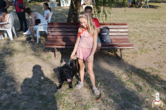 OPS_2680_oh