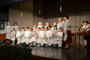 Megyei nemzetiségi találkozó 2015.május 9