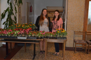 Városi Pedagógusnap 2015.június 1