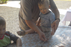 sam_8103-654706