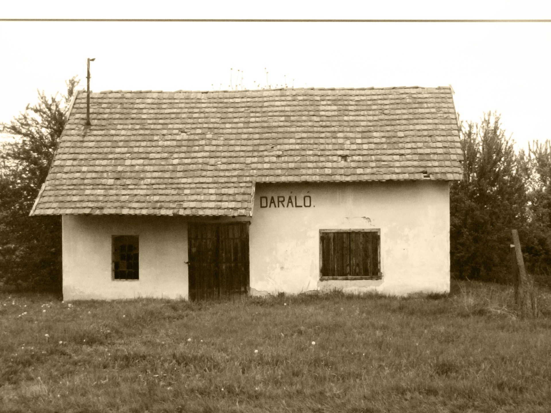 1._Daralo