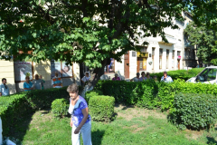kepatmeretezes_hu_DSC_7830