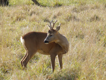 PB040152