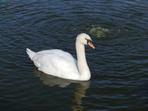 PB040160