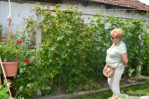 Kertek első szemléje 2017. június 15
