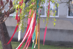 Majusfa_allitas_2